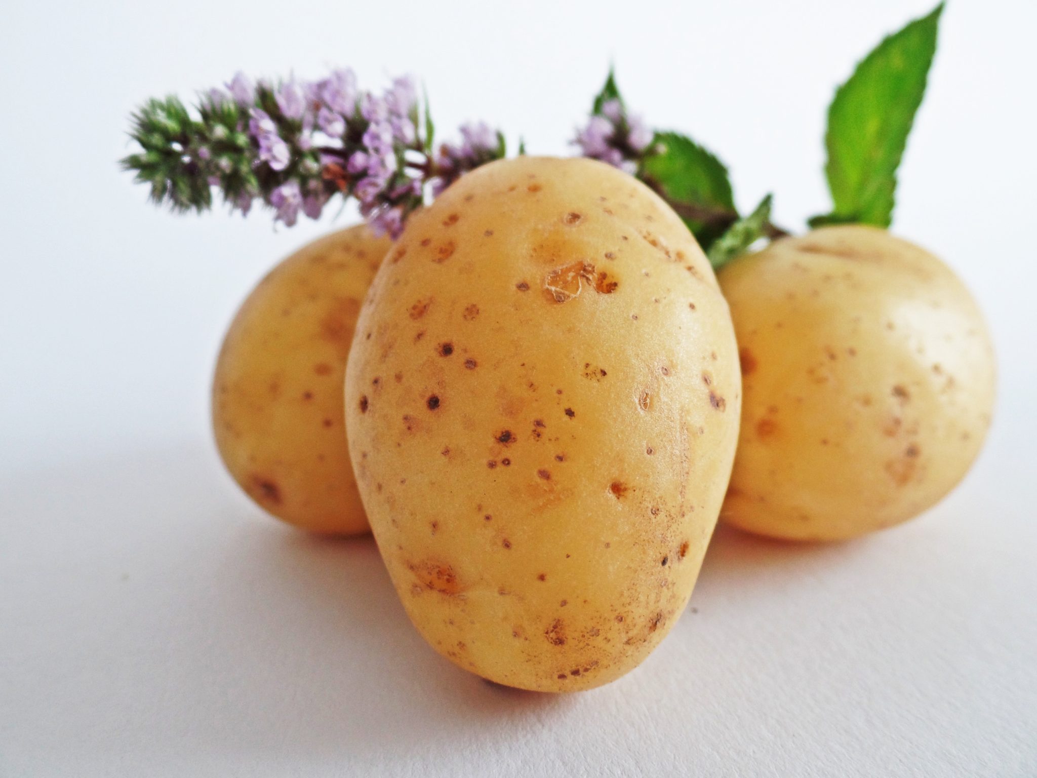 Top 10 Exporteure von Kartoffeln