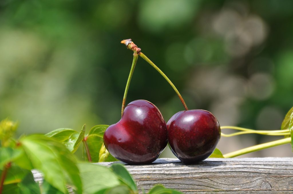 TOP10 Export Kirschen nach Land