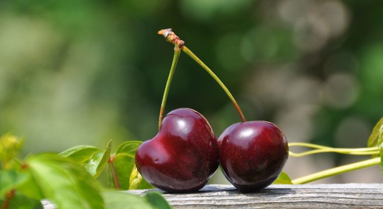 TOP10 Export Kirschen nach Land
