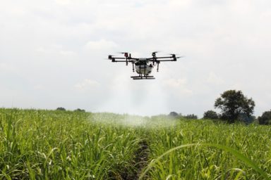 TOP10 Exportländer von Zuckerrohr nach Ausfuhrwert